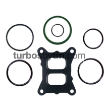 Gaskets set 215597