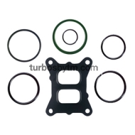 Gaskets set 215597